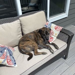 Meet your Posher, Layne